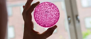 Antibiotikan måste upp på bordet