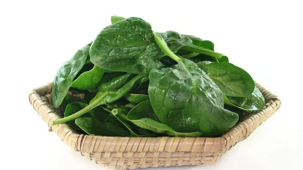 Spenat. Forskare vid LiU har kommit fram till att grönsaker som spenat har anti-inflammatoriska effekter.