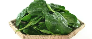 Spenat kan dämpa inflammation