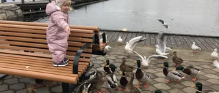 Här är vinnarbilden för december