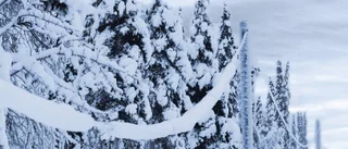 Just nu: Tusentals utan el