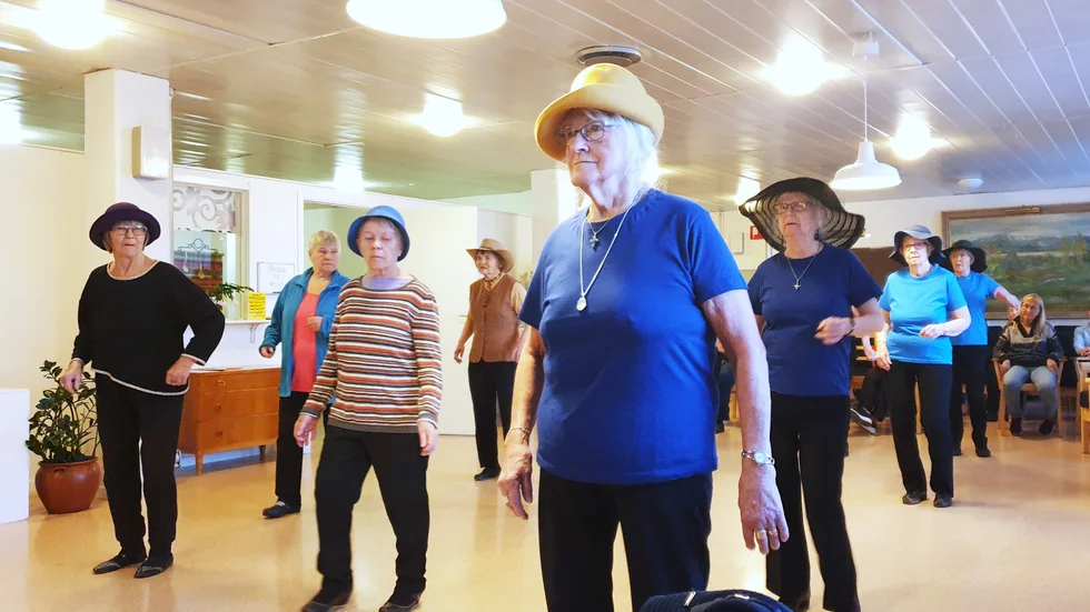PRO:s linedansare under ledning av Göta Ökvist.    