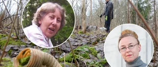 Gamla farliga soptippar skulle saneras – fick växa igen