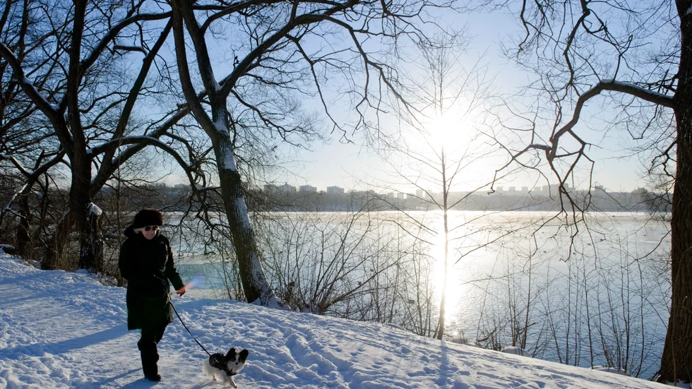 Det finns chans på sol till helgen.