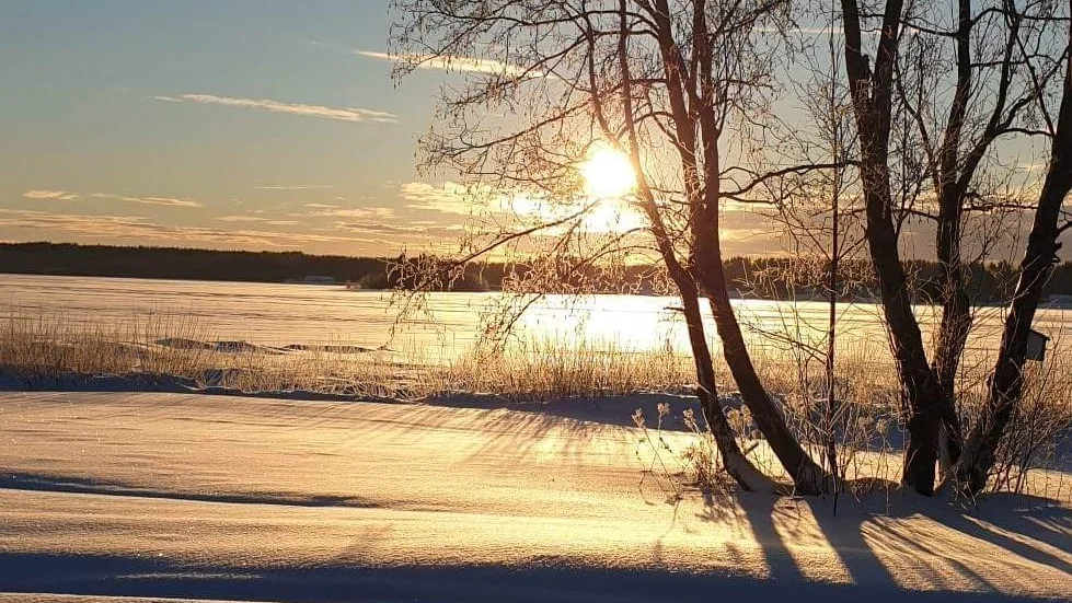 Dagens läsarbild.