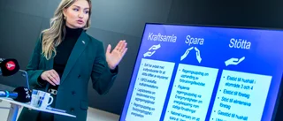 "En ny käftsmäll av Busch"      