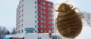Löss på trygghetsboendet igen – anhörig uppmanades ligga lågt: "Vi ställer oss också frågan varför det händer igen"