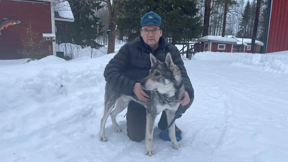 Bengt Andersson med sin jämthund Paz som var borta i 15 dygn.