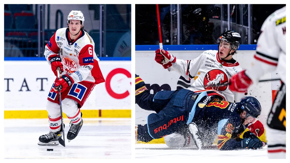 Daniel Brickley flytt norrut kan gynna Vita Hästens backbesättning.