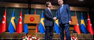 Krök inte rygg för Turkiets Erdogan