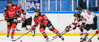 Blankt nej från "Högge" som flaggar för en comeback 