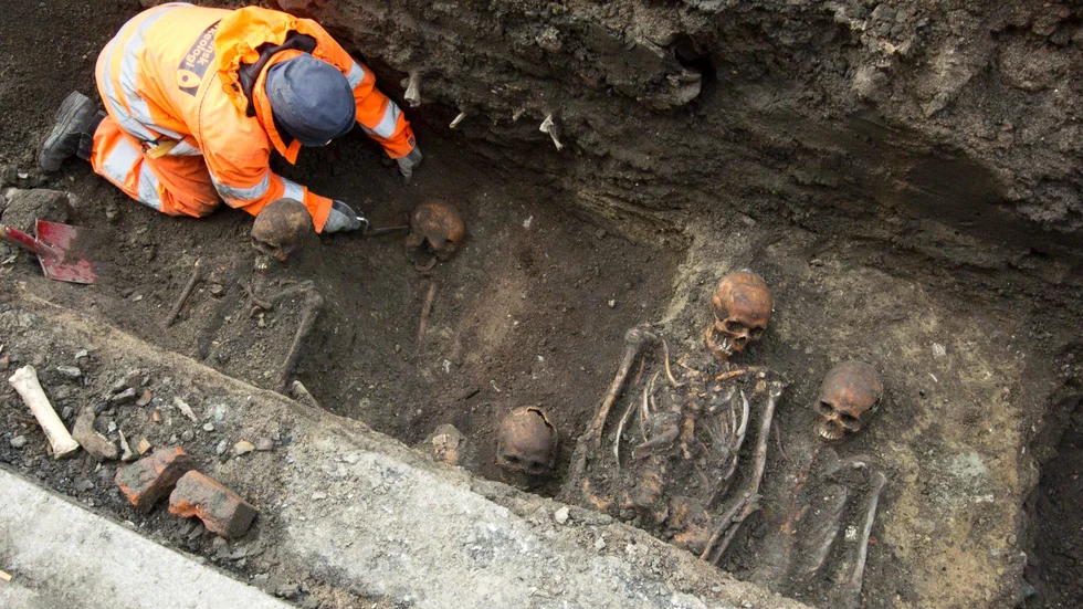 Skelett eller skelettdelar dyker då och då upp på byggarbetsplatser. Skeletten på bilden upptäcktes i Malmö. Arkivbild
