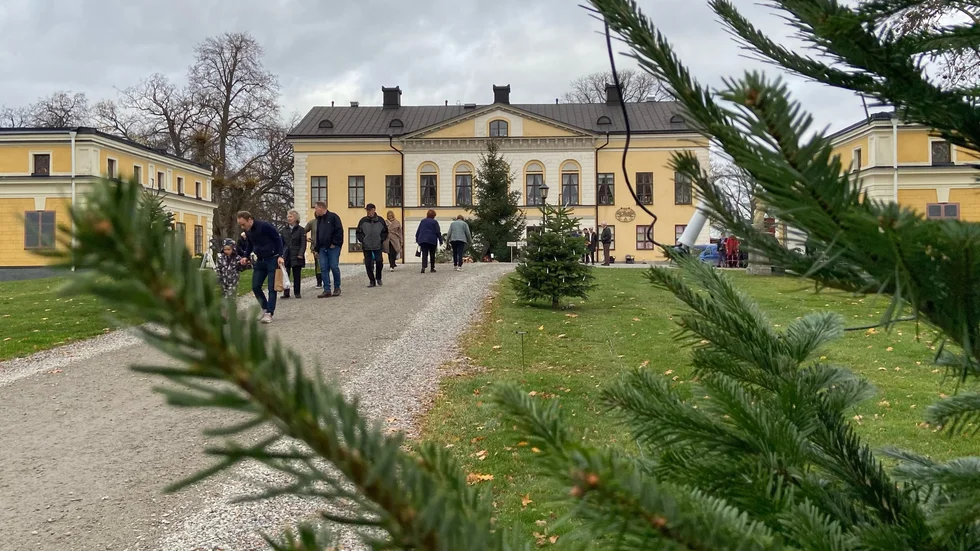 Det är dags för årets julmarknad på Taxinge slott. Vi var på plats under fredagsförmiddagen och liverapporterade.