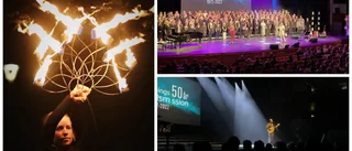 Årets Linköpingshjälte utsedd! Så var galan – vi direktrapporterade på plats