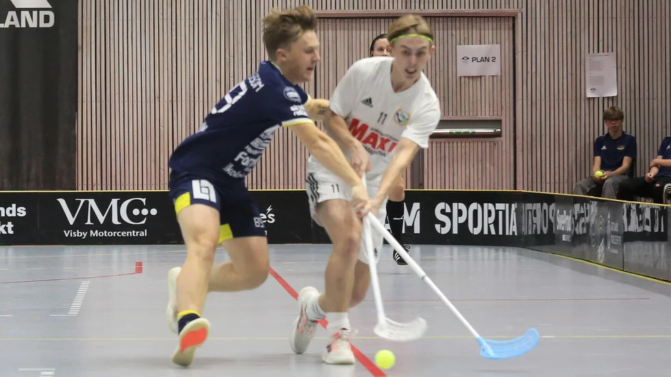 Daniel Gabrielsson har förlängt med Visby IBK.