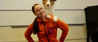 Elin, 27, lämnade lärarbanan – vill satsa allt på hundar 