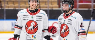 VIK värvar JVM-meriterat: "En back som är bra på det mesta"