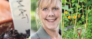 Här får du enkla odlingstips från proffset