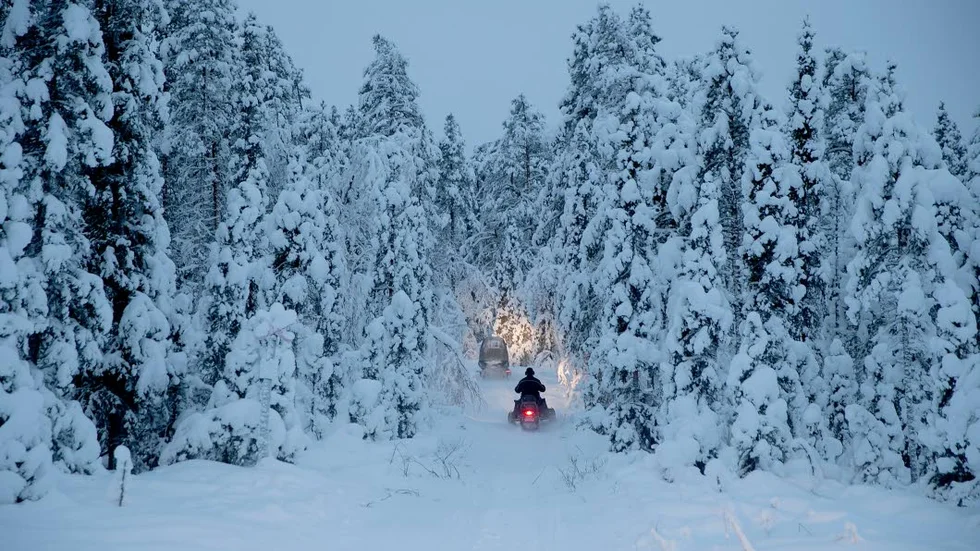 Många. I sportlovstider är det högsäsong för skoteråkande. 
I Norrbotten finns det drygt 40 000 skotrar registrerade.