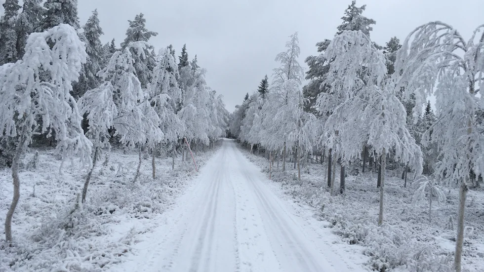 Dagens läsarbild.