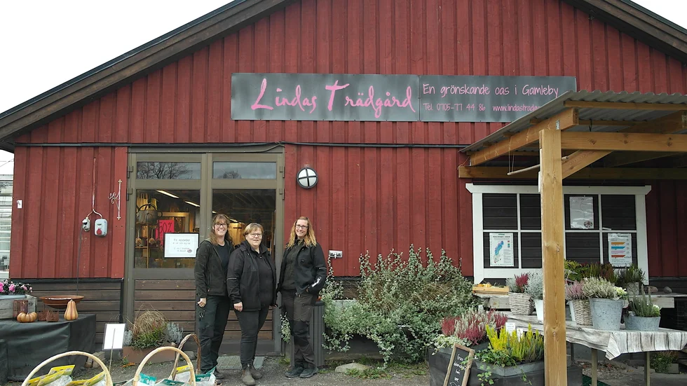 Efter drygt elva år flyttar Lindas Trädgård från Gamleby till Segelrum. Kollegorna Ulrika Grönvall, Leena-Kaisa Linderson och Linda Öhrvall tycker det känns spännande inför flytten.