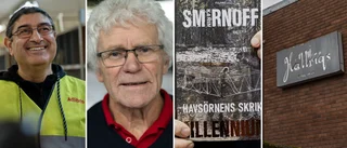 Han hjälpte Stieg Larsson undan högerextremisterna: "Ung och odödlig" • Nu är bokserien tillbaka