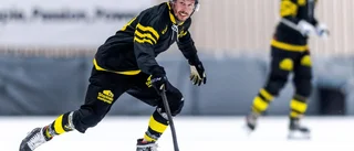 Efter nedläggningen – Sirius värvar från AIK: "Bästa tränarna i elitserien"
