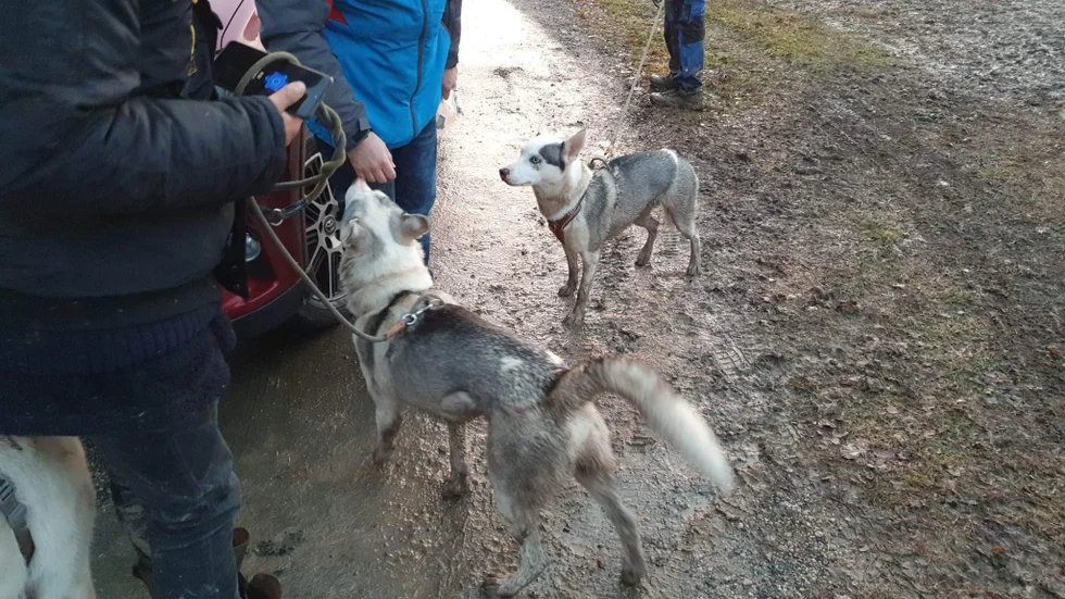 Mia och Tommy, 1 år gamla, var borta i 41 timmar efter att de rymt från bostaden i Heby.