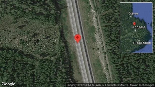 Hund på vägen på E4