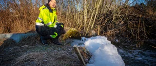 Reningsverket visste att plasten kunde läcka ut i havet