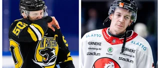 Förre ordföranden ser likheter med Panterns situation