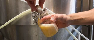 Gärna en lokal öl direkt från bryggeriet – men behåll Systemet