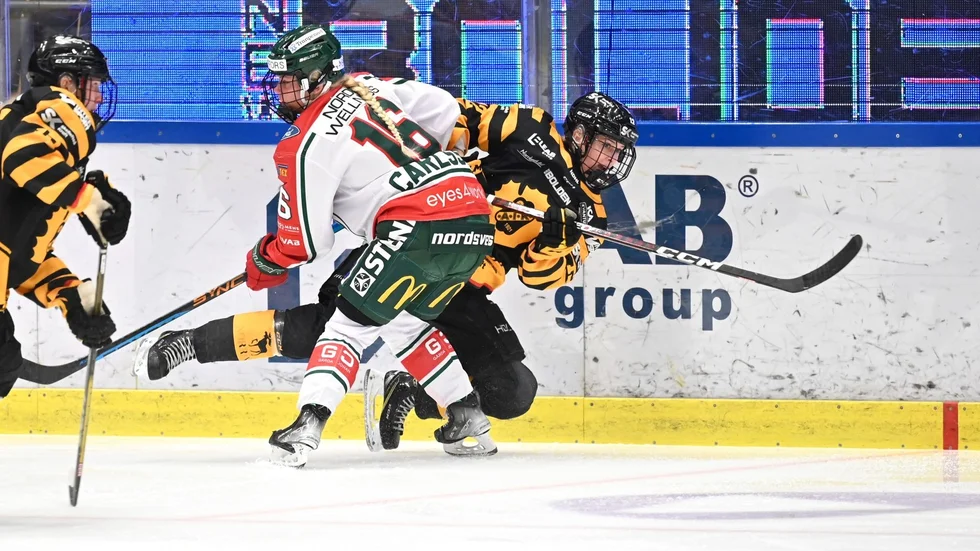 Liv Jonsson och Skellefteå AIK föll tungt mot Frölunda under lördagen.