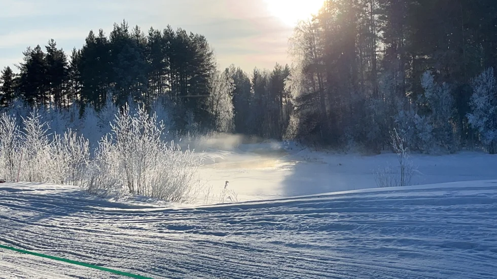 Dagens läsarbild.
