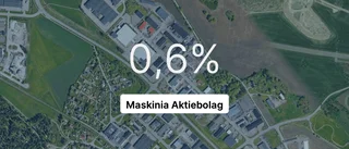 Omsättningen tar fart för Maskinia Aktiebolag - men resultatet sjunker