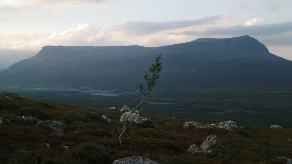Ungefär sex kilometer öster om fjällstugan i Aktse hittades den ensamme unge vandraren död efter en kall natt med kraftiga vindar. (Arkivbild)