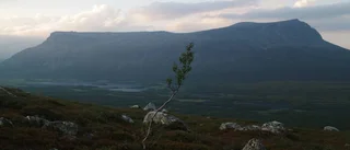 Döde fjällvandraren hittades sex kilometer från fjällstuga