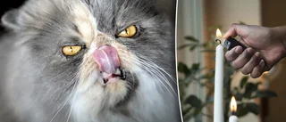 Tände ljus och gick och sminkade sig • När kvinnan kom ut brann det för fullt: "Katten välte ljusen"