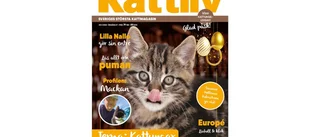 Kattliv  - Sveriges största tidning för kattintresserade.