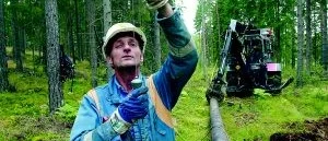 Här byggs elnät för miljarder