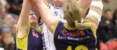 Slutspelat för Dolphins ? "Starra" slutar som coach