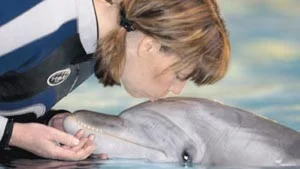Deltagarna i Närkontakt Delfin kommer att få en närmare inblick i hur delfiner egentligen kommunicerar med varandra. Och med andra, som på bilden, i det här fallet en av tränarna.
FOTO: ROINE MAGNUSSON/KOLMÅRDEN