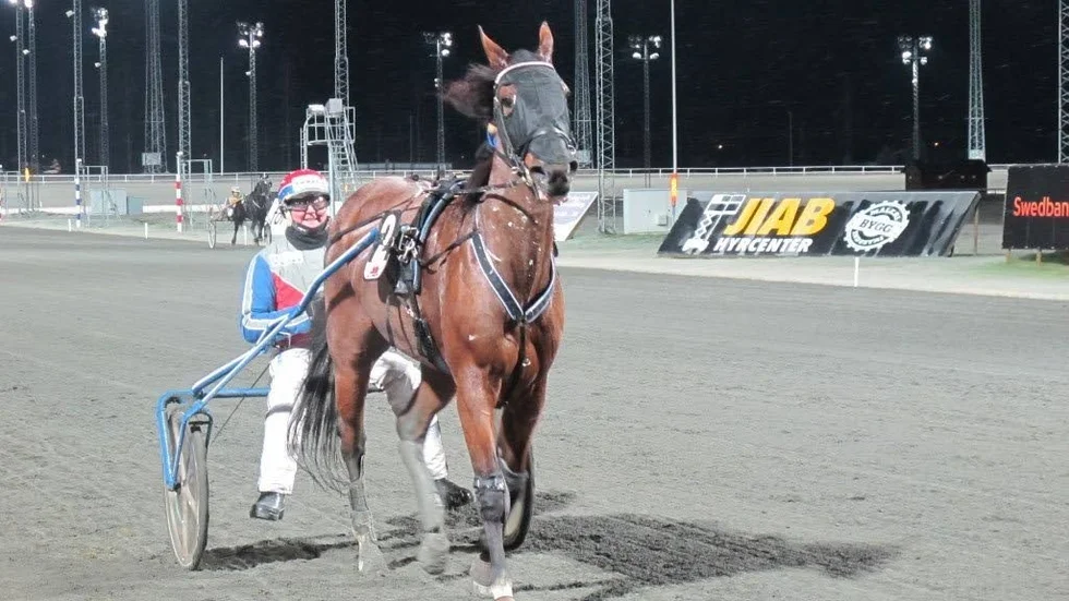 Dialog In och Roger Nilsson segerdefilerar efter favoritsegern i V65-4 på Bodentravet i lördags.