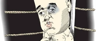 Reinfeldt nere för räkning