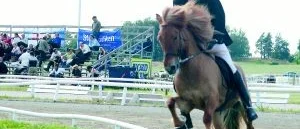 Charlotta vidare till final