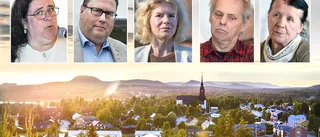 Tre stekheta frågor – det här vill partierna ✓ Äldreomsorgen ✓ Utbildning ✓ Tandvård