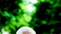 Foto: ANDERS WIKLUND/SCANPIX Regeringens psykiatrisamordnare Anders Milton vill se mer samarbete mellan kommun och landsting, en bättre farlighetsbedömning tidigt i vårdkedjan och mer pengar till psykiatrin. Han berättar också att man på samordningsenheten ska se över om det behövs en mellanform mellan den psykiatriska slutenvården och öppenvården.