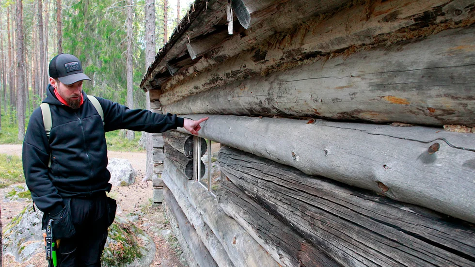Alexander Engelman visar att Tjirsakojan redan fått ett par stockar bytta, men påpekar också att man av någon anledning tätat med vitlav, vilket är helt fel material att använda.