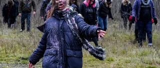 Sverige behöver göra sig av med zombieföretagen