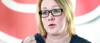 Stenberg vill bli landstingsråd